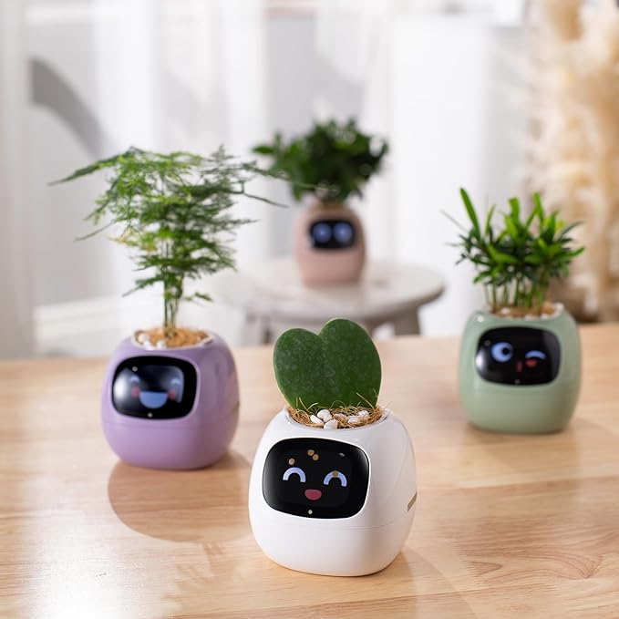 Smart pet Planter Robot Guidance on Plant